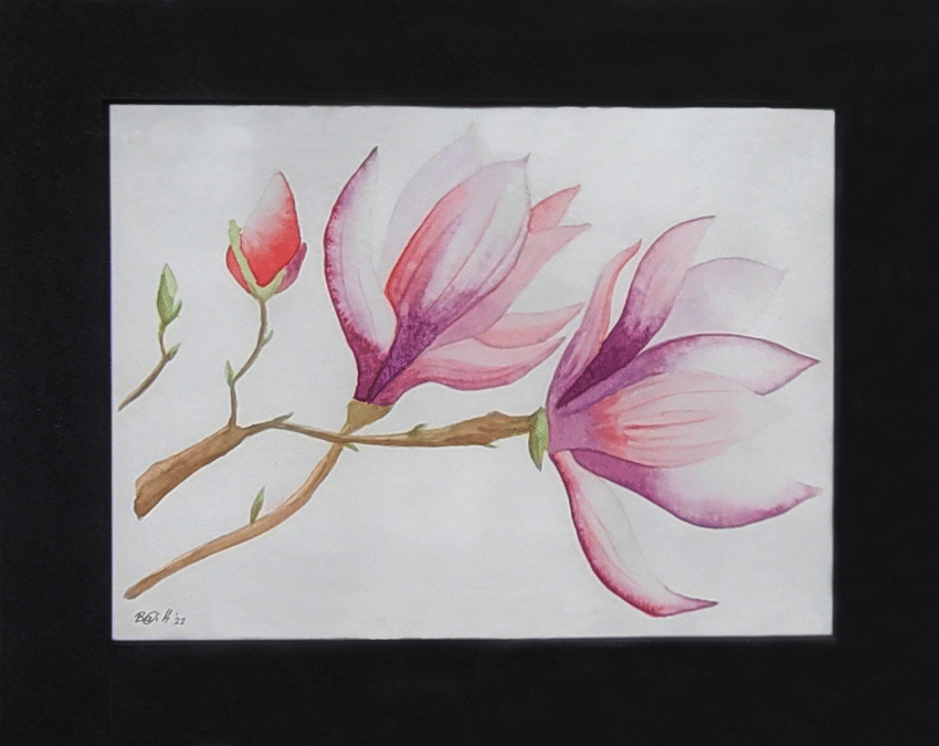 Magnolien - Image 5