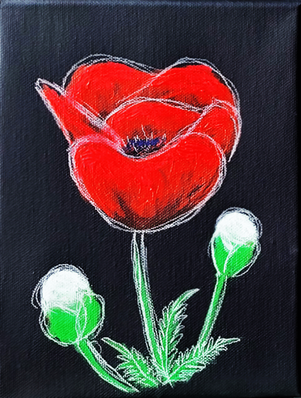 Mohnblume