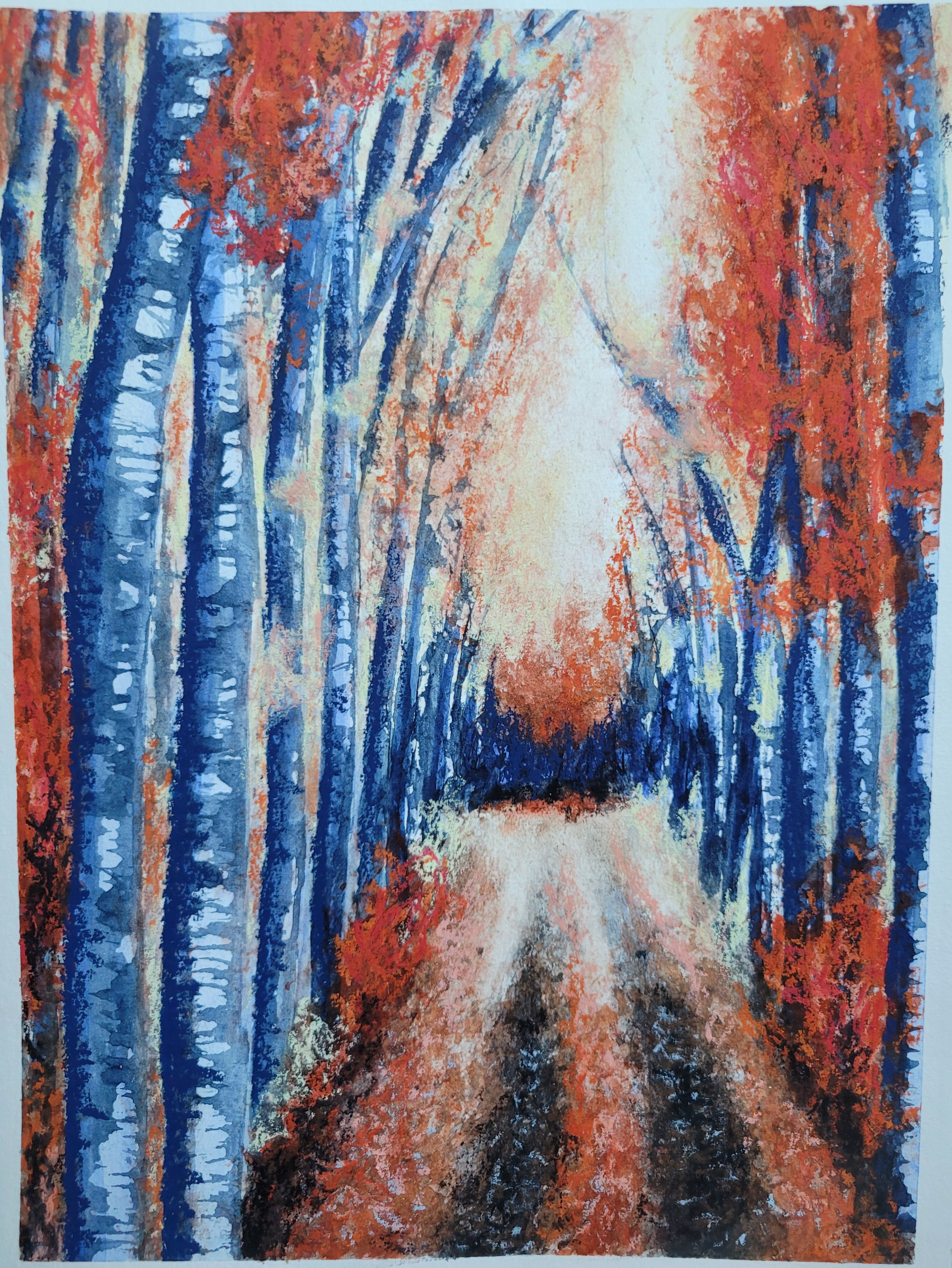 Wandering Through Colours